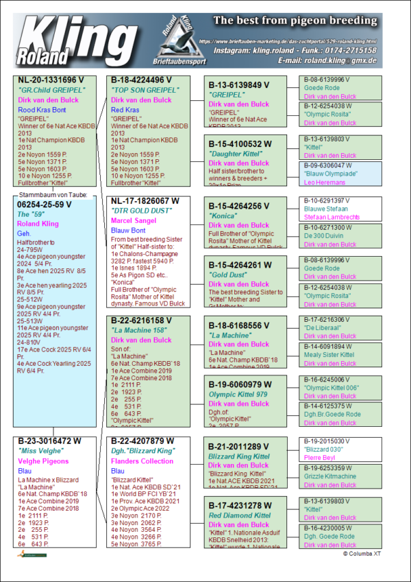 DV 6254-25-59 Mascul Roland Kling mama este semisora cu mama lui 3.NAT A.CAT OLYMPIAD  DORTMUND 26 5 PROV ACE SD Y I24  11.PROV SPRINT Y '24 frate cu mai multi superzburatori ,tata este nepot Greipel, Konica, Gold Dust Dirk van den Bulk, mama este nepoata La Machine si Blizzard King Kittel