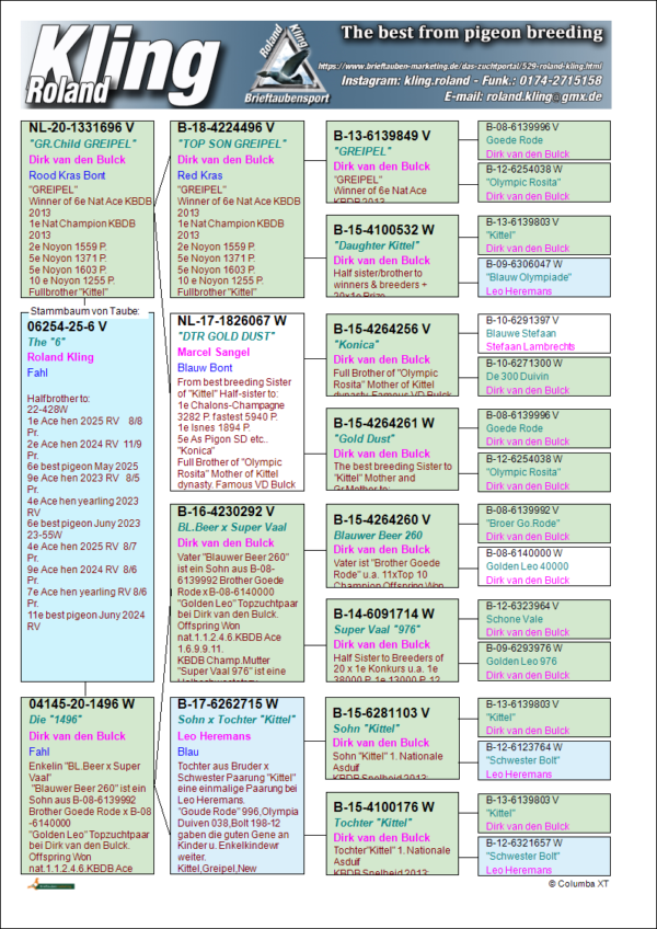 DV 6254-25-6 Mascul Roland Kling tata este nepot Greipel Gold Dust, mama este  Broer Gode Rode x Kittel Dirk Van Den Bulk