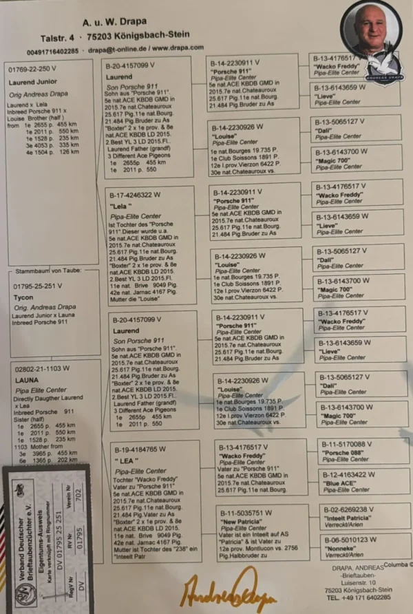 DV 1769-25-251 Mascul Andreas Drapa Dublu Nepot Laurend PEC fiu Porsche 911