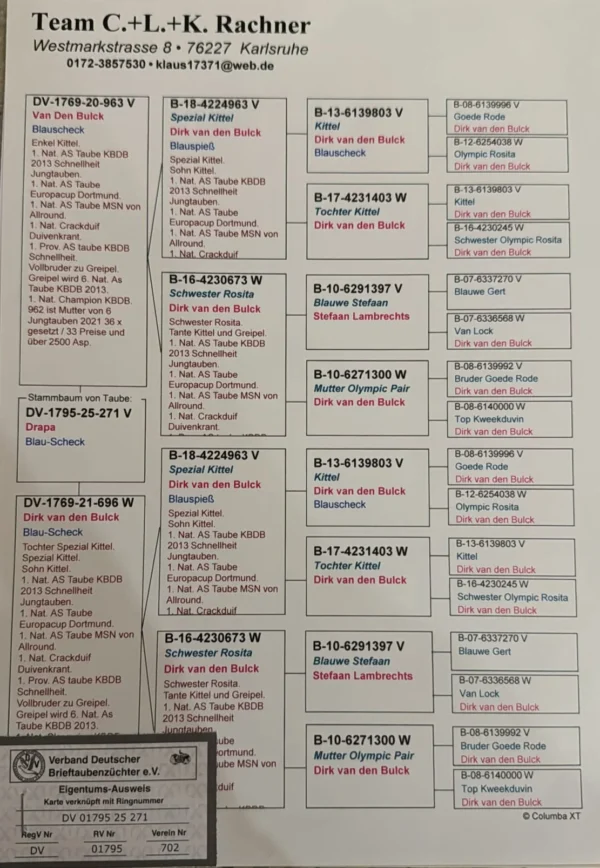 DV 1795-25-271 Mascul Klaus Rachner Consangvin Dublu nepot SPERKITTEL si Sora Olympic Rosita!!!