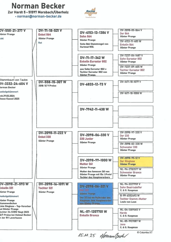 DV 3332-24-604 M Becker Norman consangvin Ringlose 12 Gunter Prange