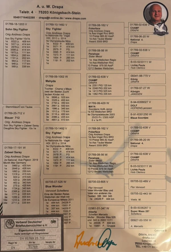 DV 01769-25-712 Mascul Andreas Drapa dublu nepot Sky Fighter 1 Nationa AS HDI 2013-2014 loc 5 Olympiada Nitra 10x locul 1