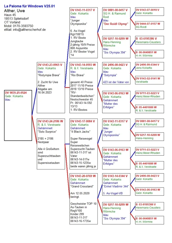 DV 9835-25-524 Uwe Alther 100% Gebr. Kokartis, Verstraete Pigeons