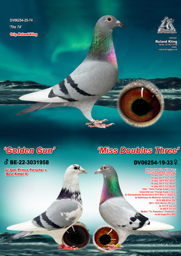 DV 6254-25-74 Femela Roland Kling sora cu o super zbuaratoare si fiica din Miss Duble Tree super zburatoare nepoata Pokerface Andreas Drapa, tata este nepot Prince Porsche si Best Kittel II Pipa Breeding