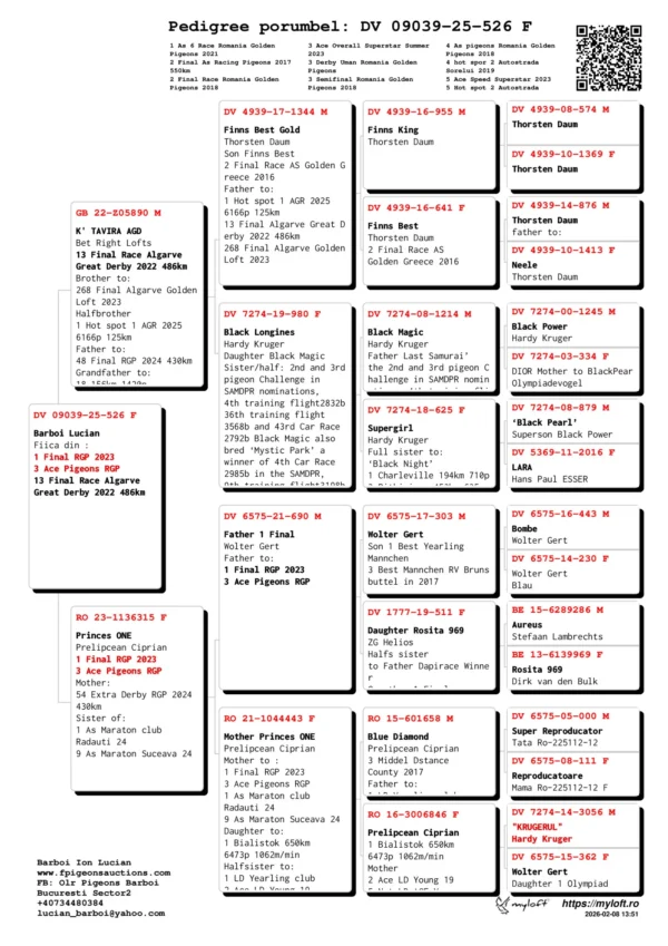 DV 09039-25-526 Barboi Lucian Fiica din : 1 Final RGP 2023  3 Ace Pigeons RGP 13 Final Race Algarve  Great Derby 2022 486km