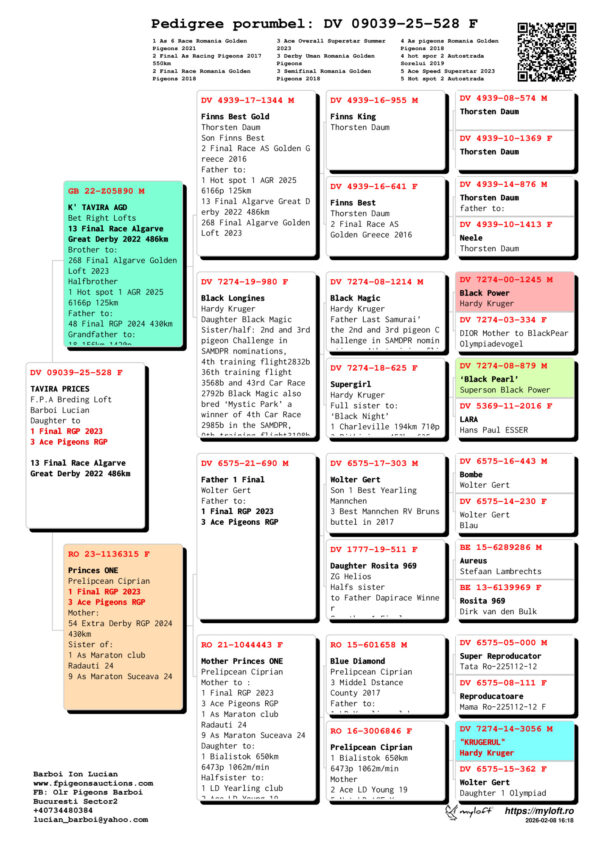 TAVIRA PRICES  F.P.A Breding Loft Barboi Lucian Daughter to  1 Final RGP 2023 3 Ace Pigeons RGP  13 Final Race Algarve  Great Derby 2022 486km