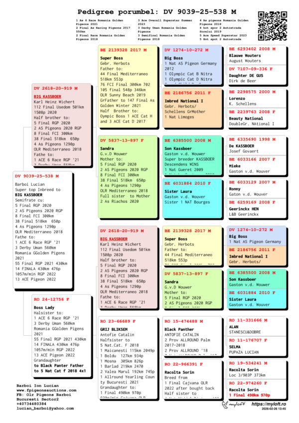 DV 9039-25-538 Mascul Barboi Lucian Super top Inbreed to BIG KASSBOER Semifrate cu: 5 Final RGP 2020 2 AS Pigeons 2020 RGP 8 Final FCI 300km  38 Final 518km  650p 4 As Pigeons 1290p OLR Mediterraneo 2018 Fathe to:  1 ACE 6 Race RGP '21 3 Derby Uman 560km  Romania GGolden Pigens  2021 55 Final RGP 2021 430km 14 FINALA 430km 476p  1057m/min RGP 2022 13 ACE Pigeon 2022