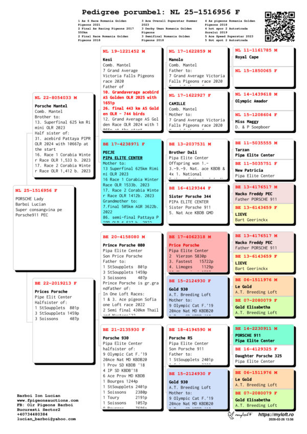 NL 25-1516956 PORSCHE Lady Barboi Lucian Super consangvina pe  Porsche911 PEC