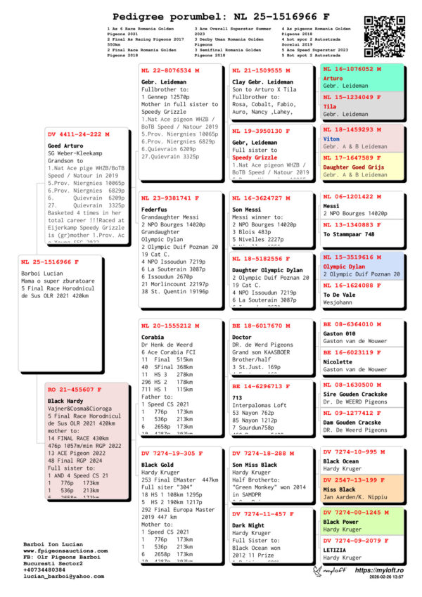 NL 25-1516966 Femela  Barboi Lucian Mama o super zburatoare 5 Final Race Horodnicul  de Sus OLR 2021 420km