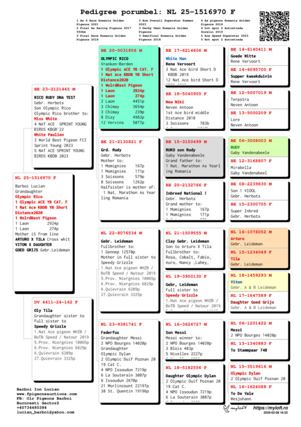 NL 25-1516970 Barboi Lucian Grandaughter  Olympic Rico  1 Olympic ACE YB CAT. F 1 Nat Ace KBDB YB Short Distance2020 1 WolrdBest Pigeon 1 Laon        2924p 1 Laon         274p Mother iS from line ARTURO X TILA Cross whit VITON X DAUGHTER  GOED GRIJS Gebr.Leideman