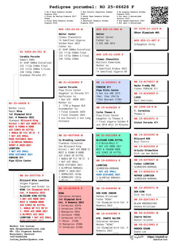 RO 25-66628 Femela  Barboi Lucia Nepot Nina 1st Olympiad bird Cat. H Romenia 2022 Stanepot Blizzard King Kittel 1.NAT ACE KBDB'21 BEST & YOUNG B KBDB ACE SINCE DE KITTEL 1 WORLD BP FCI YB'21  X 1 NAT ACE SMALL MIDD DISTANCE 2021 3 OLYMPIAD ROMANIA SPORT H 2020-2021 LEONTIEN 1 NAT ACE SMALL MIDD DISTANCE 2021 PORSCHE 911 Pipa Elite Center