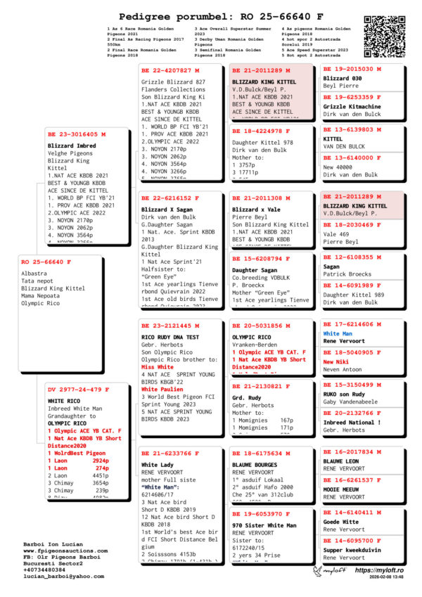 RO 25-66640 Femela Barboi Lucian Tata nepot  Blizzard King Kittel Mama Nepoata  Olympic Rico