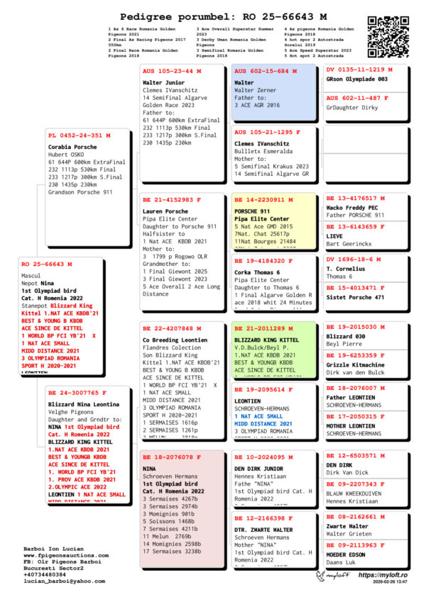 RO 25-66643 Mascul Mascul Nepot Nina 1st Olympiad bird Cat. H Romenia 2022 Stanepot Blizzard King Kittel 1.NAT ACE KBDB'21 BEST & YOUNG B KBDB ACE SINCE DE KITTEL 1 WORLD BP FCI YB'21  X 1 NAT ACE SMALL MIDD DISTANCE 2021 3 OLYMPIAD ROMANIA SPORT H 2020-2021 LEONTIEN 1 NAT ACE SMALL MIDD DISTANCE 2021 PORSCHE 911