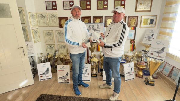 DV 1795-25-271 Mascul Klaus Rachner Consangvin Dublu nepot SPERKITTEL si Sora Olympic Rosita!!!