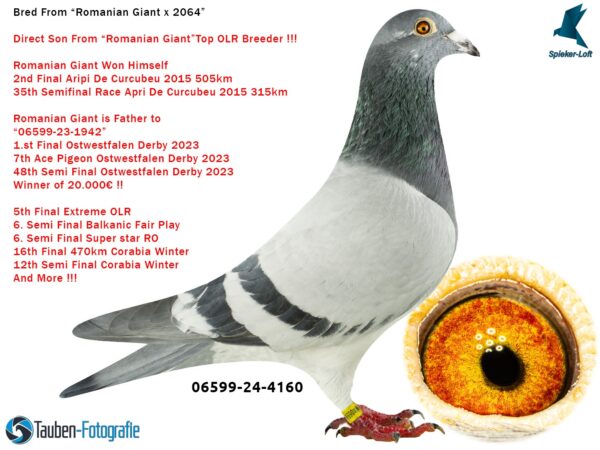 DV 6599-24-4160 Spieker Loft fiu din Romanian Giant tata pentru 1 FinalaOstwestfalenDerby 2023