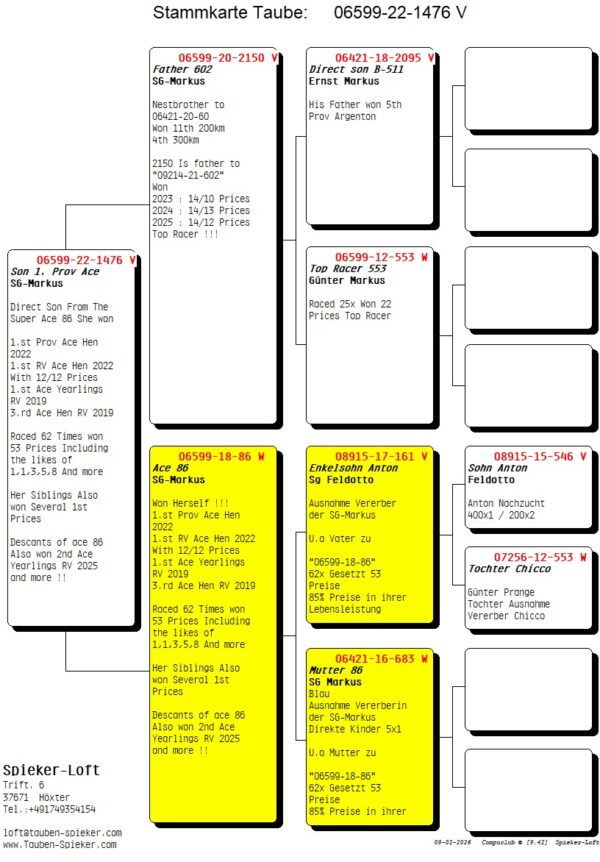 DV 6599-22-1476 Mascul Spieker Loft Fiu din Ace86 2 x locul1