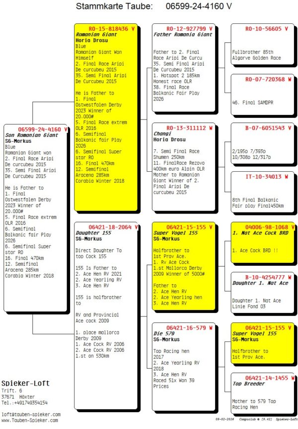 DV 6599-24-4160 Spieker Loft fiu din Romanian Giant tata pentru 1 FinalaOstwestfalenDerby 2023