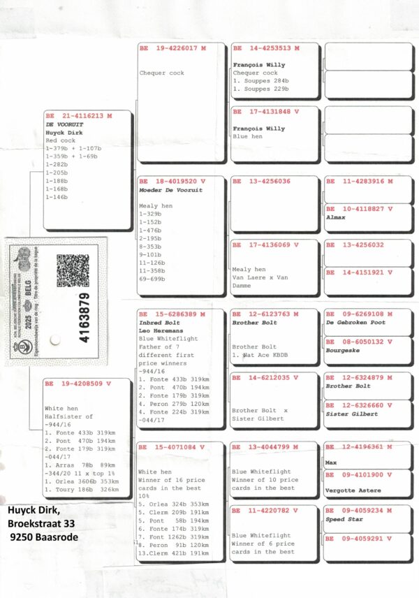 BE 4163879 2025 Femela Originala Huyck Dirk Fiica din De Vooruit &x Locul 1 Leo Heremans Line