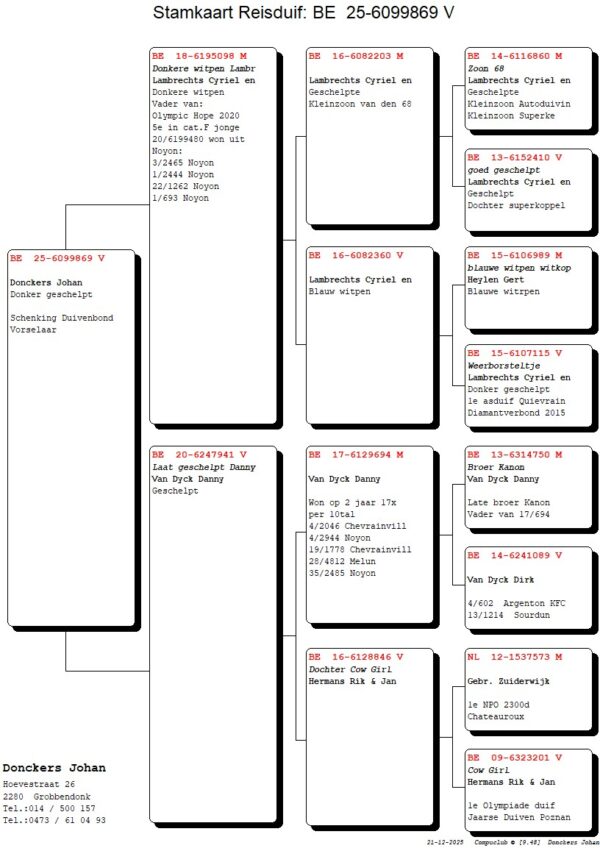 BE 6099869 2025 Femela Orig. Johan Donckers  Sora de tatat cu locul 5 Olympic Hope 2020, 1 Noyon 6930p 1 Noyon  2444p, 3 Noyon 2465p