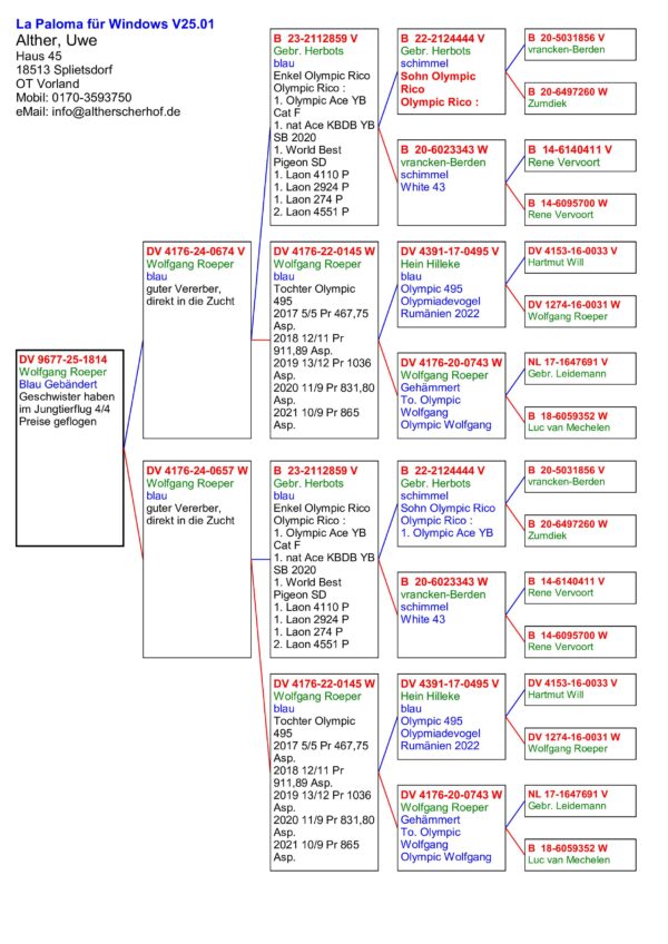 DV 1814-25-1814 Femela Consangvina Olympic Rico