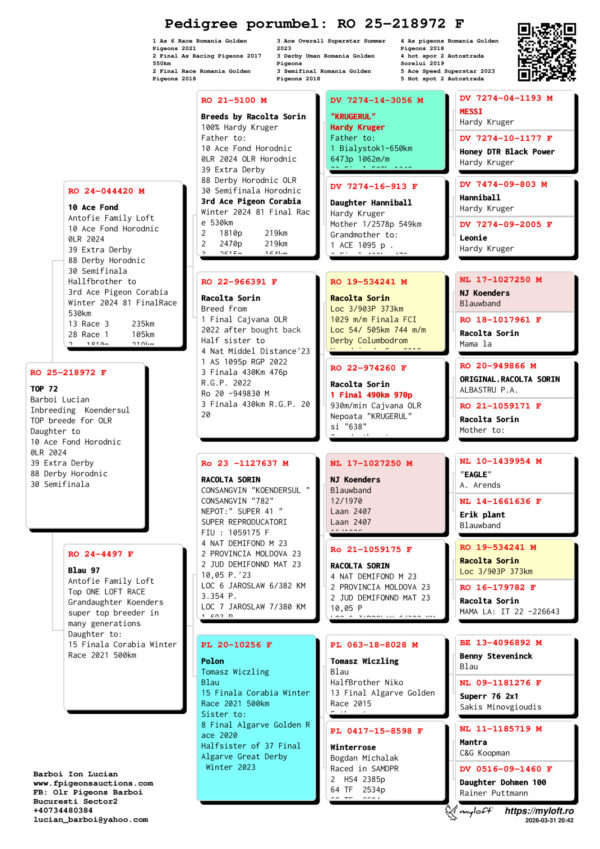 RO 25-218972 TOP 72 Barboi Lucian Inbreeding  Koendersul TOP breede for OLR  Daughter to  10 Ace Fond Horodnic 0LR 2024 39 Extra Derby  88 Derby Horodnic 30 Semifinala